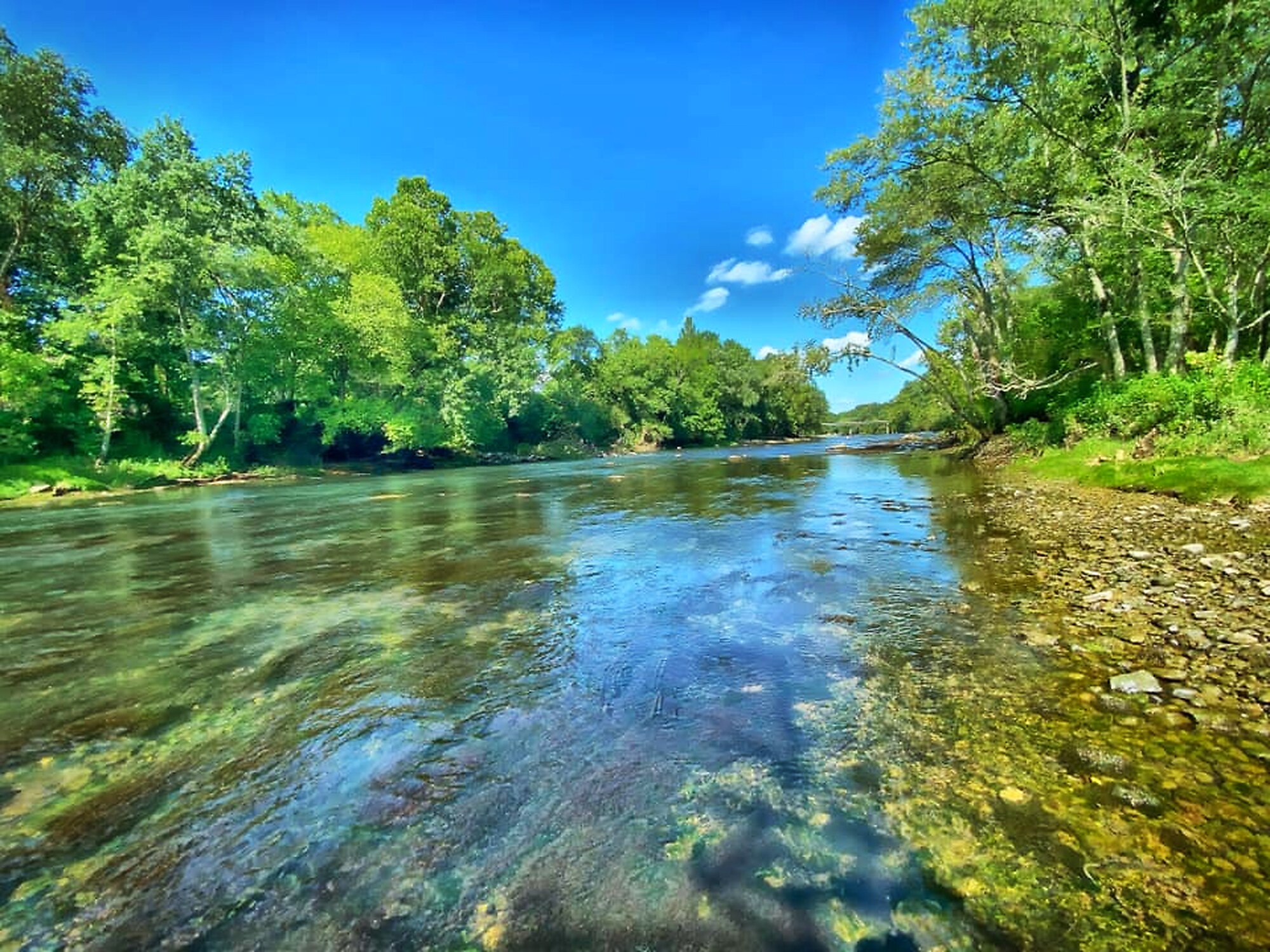 Crystal clear water on the Little Red River in summer